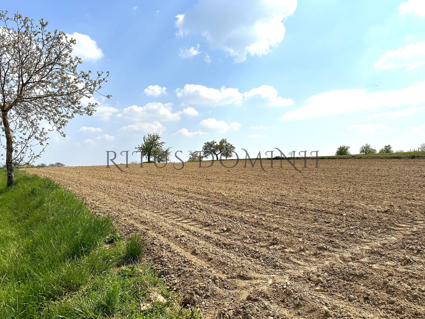 Teren Intravilan de Vânzare, Cetariu, 5450mp - Poză 3