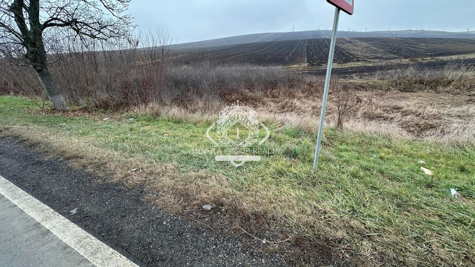 Teren 13.780 mp, Apahida, Cluj - Ideal pentru Investiție - Poză 8