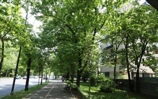 De Gaulle residence, Arcul de Triumf \ De Gaulle residence, - Poză 6