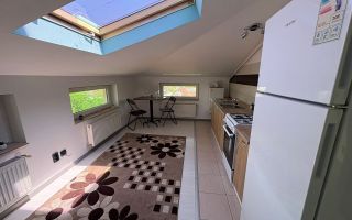 Apartament 2 Camere Penta Tătărași  – 44mp - Poză 11