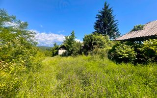 Teren intravilan de vânzare/Ocnele Mari/8.300 mp - Poză 2