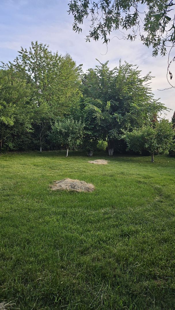 Vila 8 camere Dascalu - Poză 24