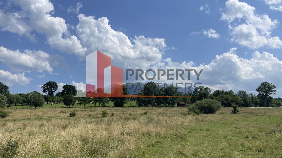 Teren de vanzare in  Tohanu Nou-Sohodol 6200 mp - Poză 8