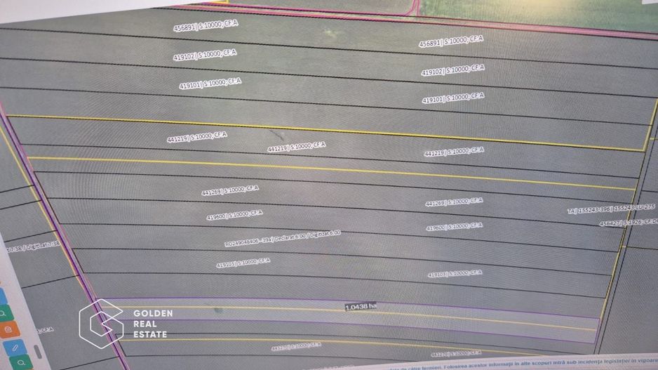 Teren arabil 10.000 mp, Calea Sagului DN 59 - Poză 3