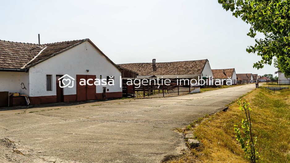 Fermă Mândruloc 25.000 mp - Poză 1