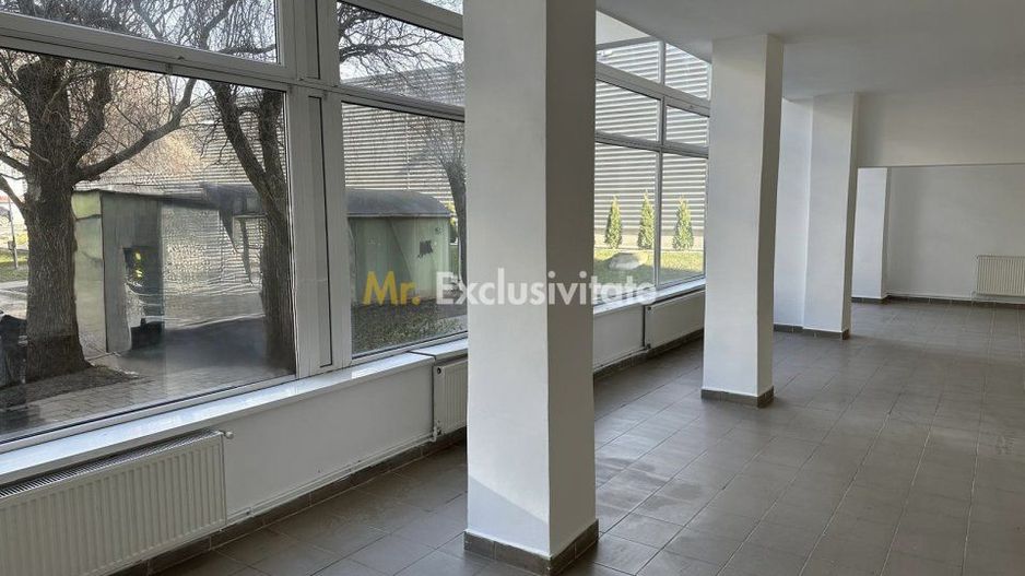 Vânzare/Inchiriere Spațiu Comercial 145,55 mp, Zona Kaufland - Carei - Poză 18