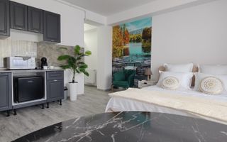 Studio modern, 40 mp | Strada Samuil Vulcan - Poză 4