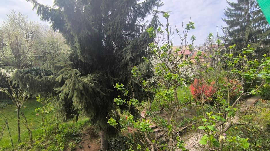Apartament tip studio cu gradina Gruia strada Migdalului - Poză 4