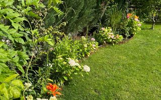 COM 0% I Vila Tunari Otopeni 50m pana la padure | teren 400mp | OCAZIE - Poză 17