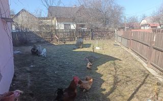 Casa de vânzre Ilișești . - Poză 7