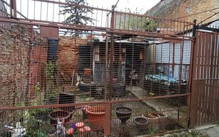 Casă | 120 MPU | 3 camere | Central - Poză 21