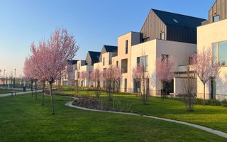 Vila 6 camere / Townhouse Avalon Estate - Poză 2