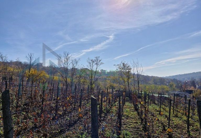 Teren intravilan 1308 mp Rediu | 9 min Copou / Pacurari - Poză 5