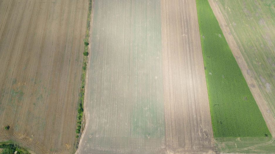 Teren extravilan 12.000 mp DN79 Arad-Oradea - Poză 2