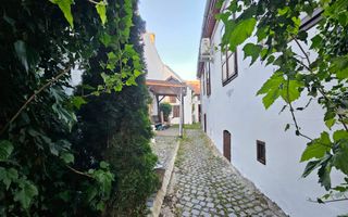 Imobil zona ultracentrala pretabil restaurant  schimbare destinatie - Poză 2
