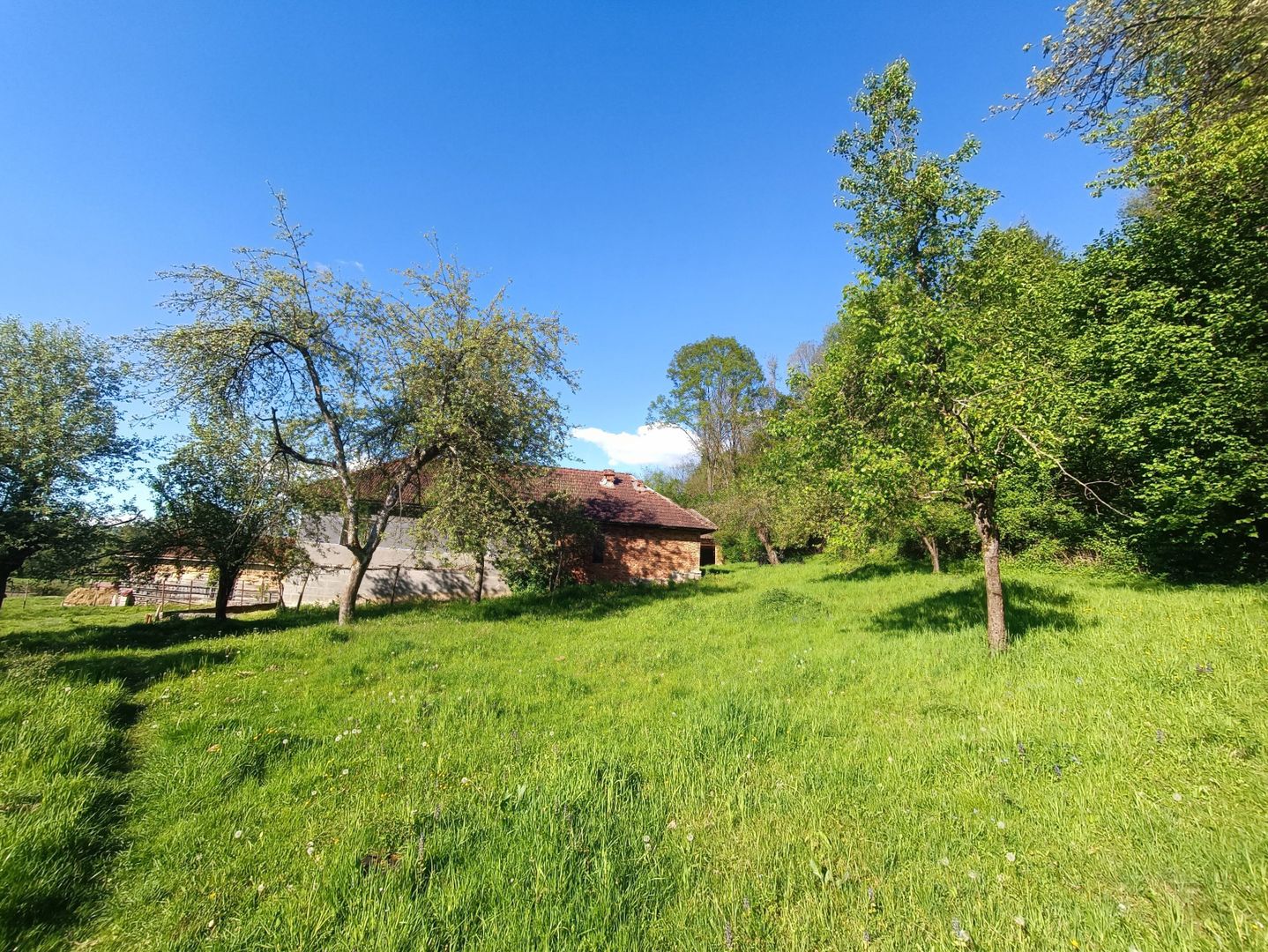 Descoperă căsuța ta de vis la poalele Munților Apuseni - Poză 15