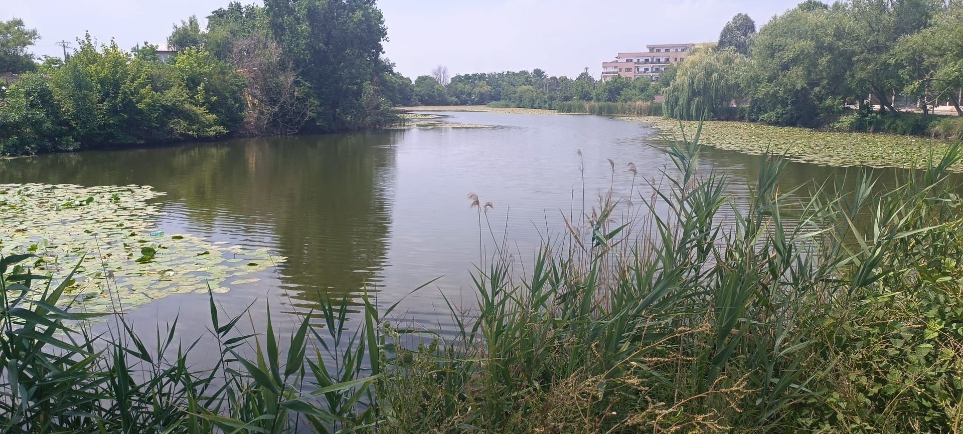 Casa în Stil American ! Mogosoaia/Chitila ! Regie Proprie ! - Poză 72