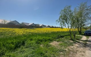 Teren intravilan 26.300 mp Saftica Balotesti-  PUZ în lucru - Poză 20