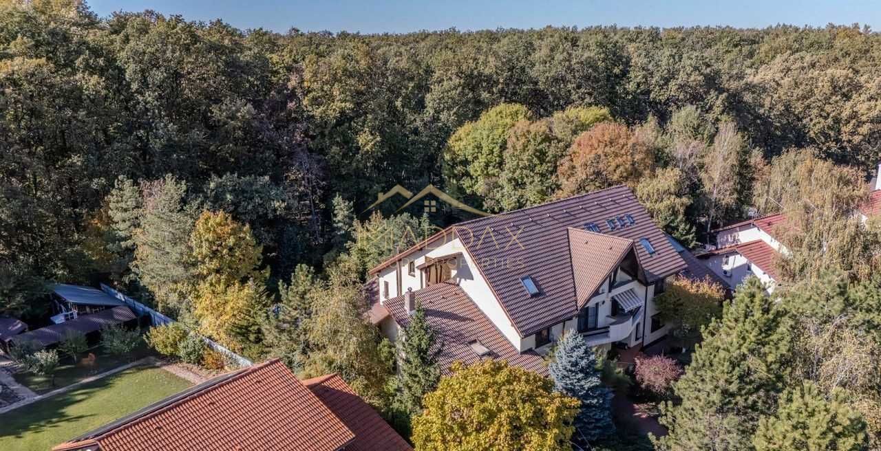 Vila spectaculoasa Corbeanca *padure proprie si piscina - Poză 1