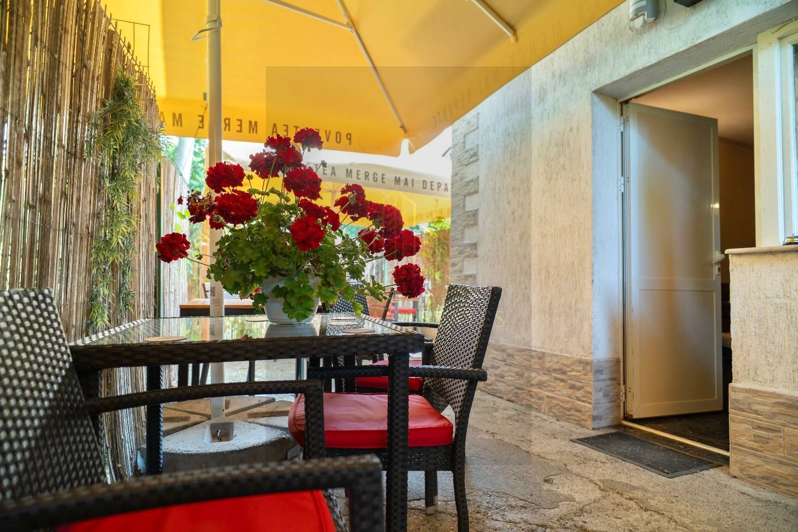 Afacere la Cheie în cartierul Frumoasa, Iași ! - Poză 6