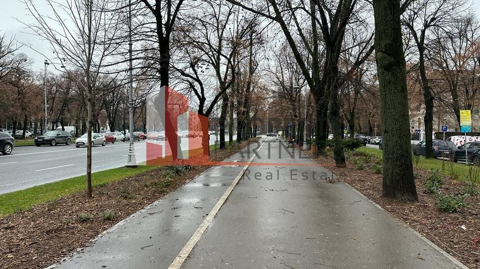 Unic, intre Victoriei si Charles de Gaulle - Poză 2