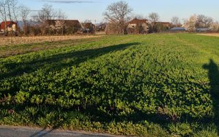 Teren | Intravilan | 1800 MPU | Porumbacu de Jos - Poză 3