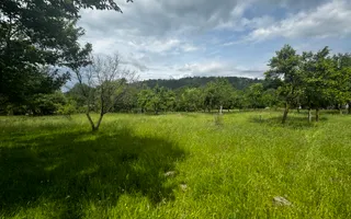 TEREN INTRAVILAN 4600 MP, VOINESTI, LERESTI, ARGEȘ - Poză 14