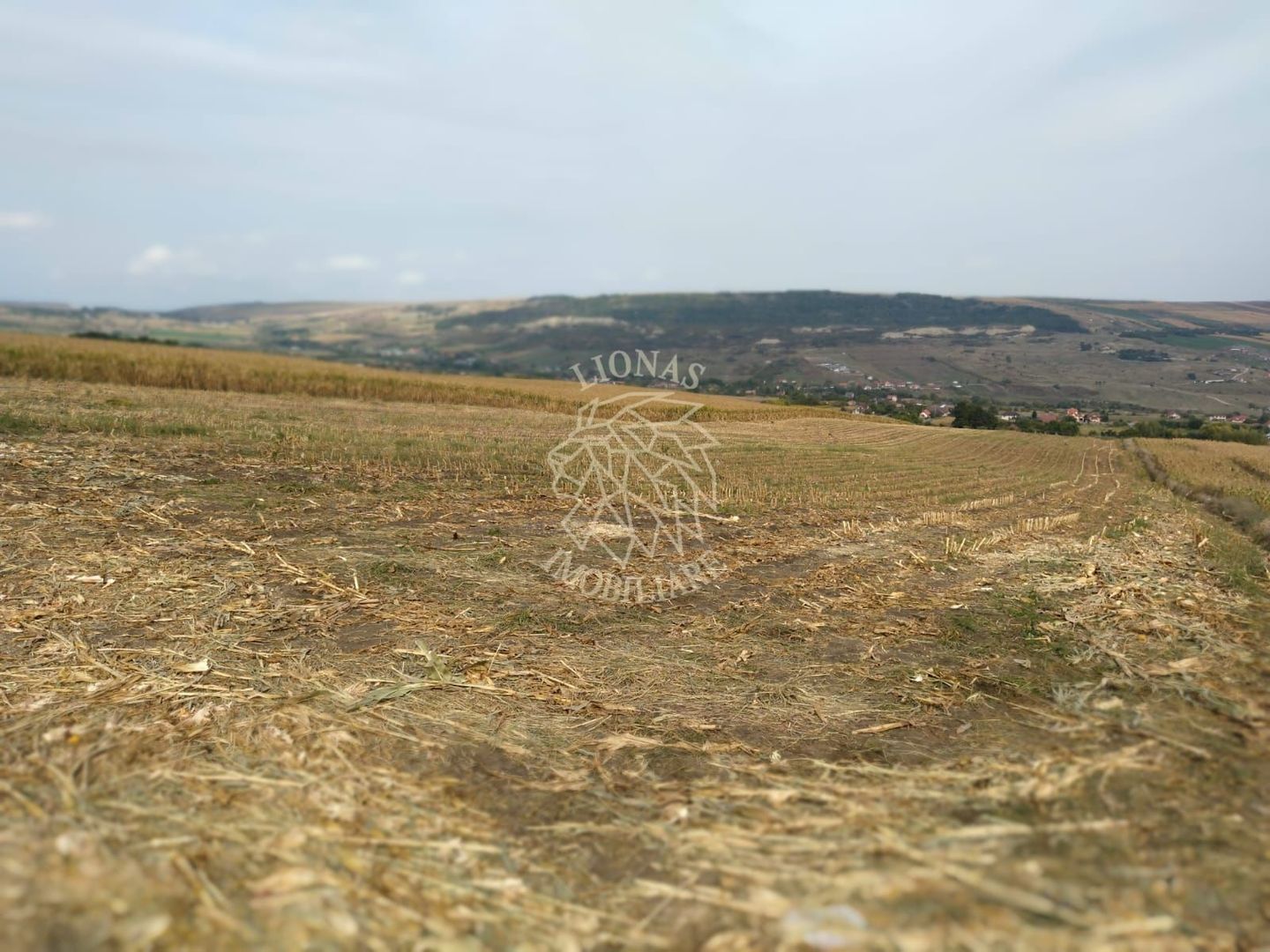 3 Parcele in Zona Fanate-oportunitate unica de investitie-Cluj-Napoca - Poză 2