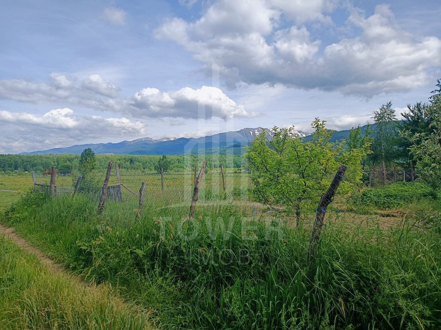 Teren intravilan 815 mp Valea Avrigului | Porumbacu de Jos - Poză 1