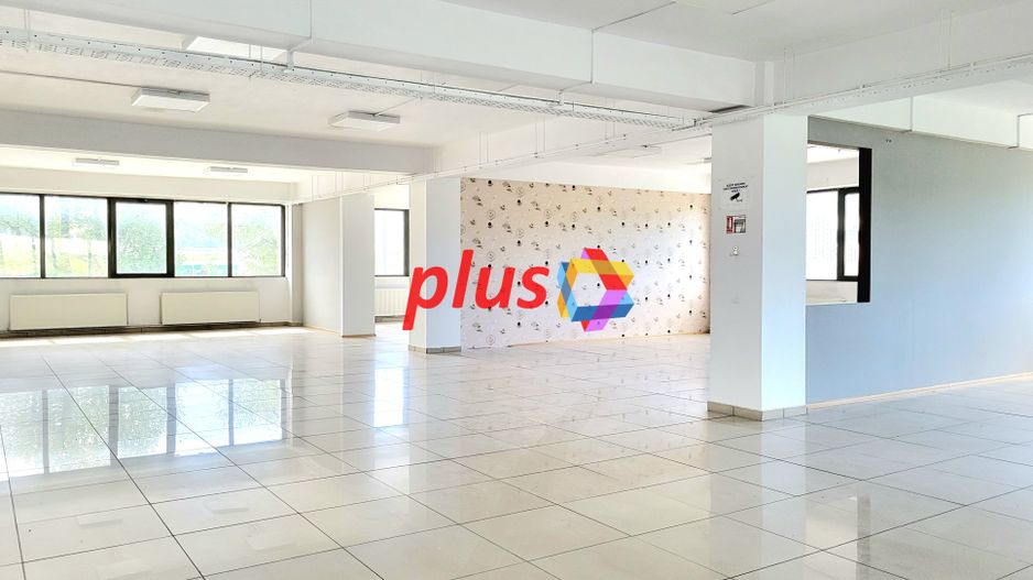 Spatiu comercial de inchiriat - 1.000 mp - Poză 11