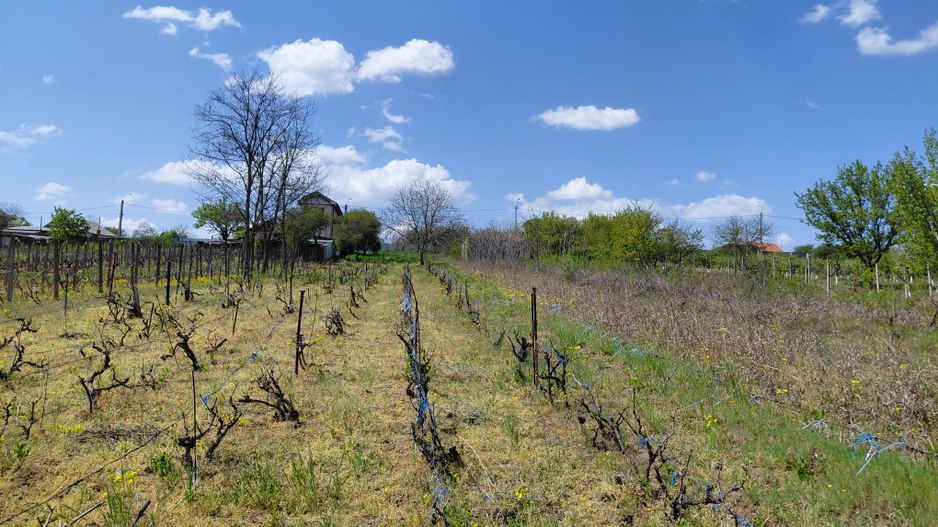 Teren intravilan 3.250 mp în Filești – Ideal pentru casă sau investiție! - Poză 7