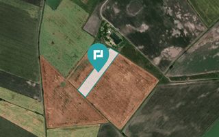 Teren extravilan de 28900 mp în Variașul Mare - Poză 1