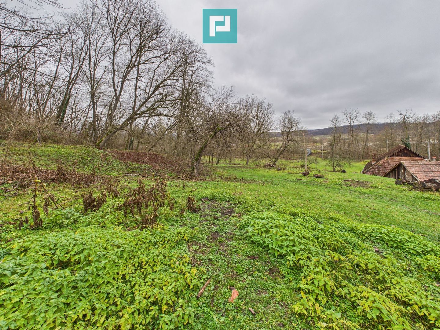 Casă cu teren de 24.679,73 mp, în Hălmagiu, Arad - Poză 16