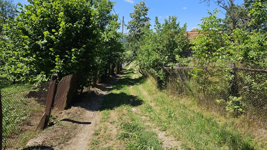 Vanzare teren intravilan, Zigoneni - Curtea de Arges - Poză 4