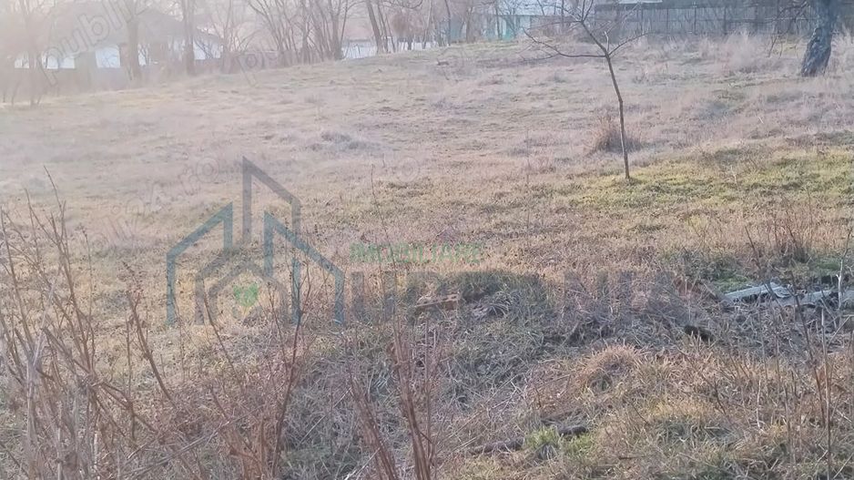 Vanzare teren - zona Ciurea, spre Piciorul Lupului. - Poză 4