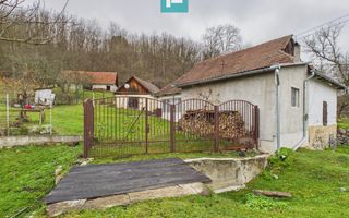 Casă cu teren de 24.679,73 mp, în Hălmagiu, Arad - Poză 10