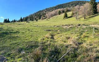 Teren 5000 mp-panorama spre Lac Colibita - Poză 1