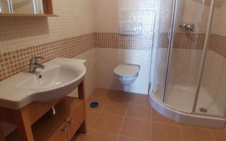 Banu Manta I Vila 9 camere I Piscina I Terasa - Poză 11