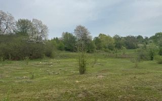 TEREN EXTRAVILAN 40000 MP, ALBESTI DE MUSCEL, CANDESTI - Poză 13