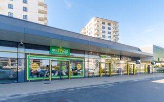 Studio dublu modern de vânzare în nordul capitalei, lângă pădure - Poză 14