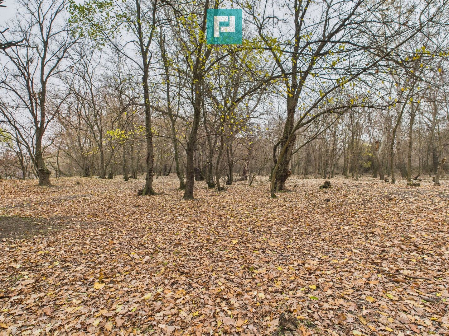 Teren spectaculos la  Periam Port - Poză 13