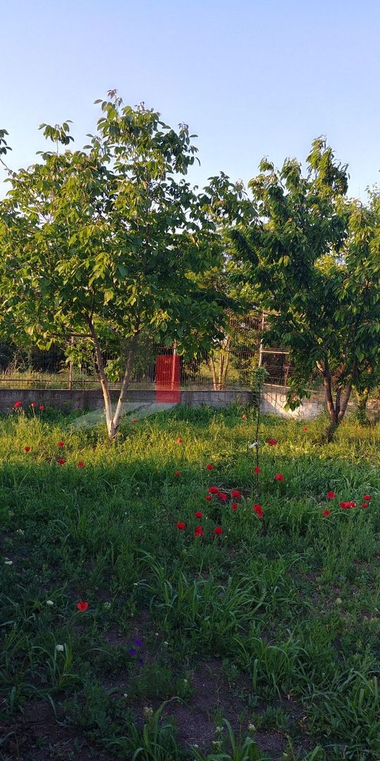 Casa individuala Valu lu Traian - curte 767 mp - Poză 7