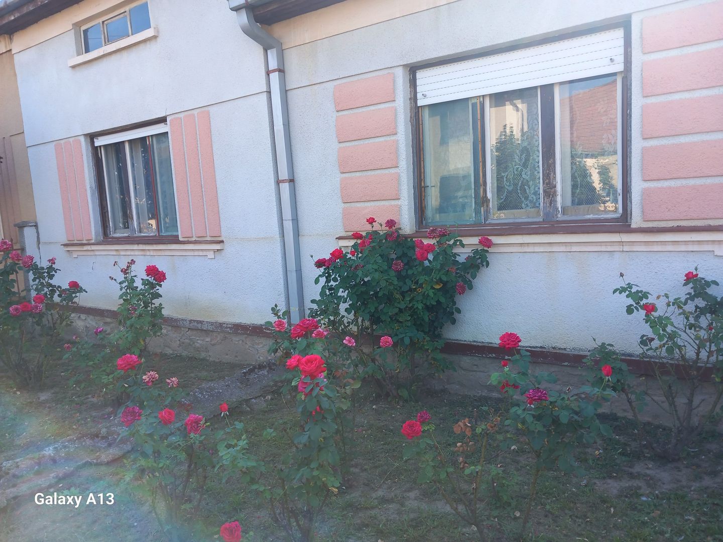 BRASADAS vinde casa 3 cam. zona Unirii teren 550mp. - Poză 2
