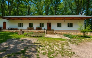 Vânzare, spațiu comercial 285 mp, com. Risipeni, r-nul Fălești - Poză 9