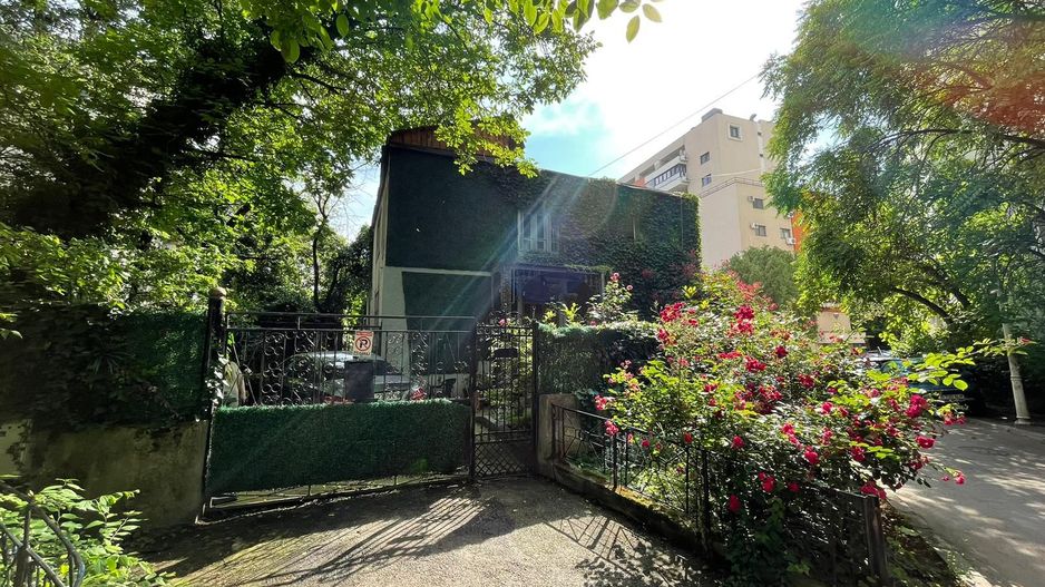 Birou parter vila Titulescu - Poză 10