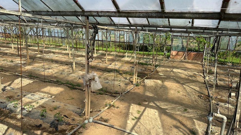 De vanzare Teren 20000MP cu sere/solarii și plantații - Poză 8