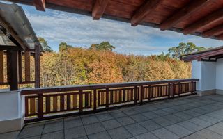 De Vânzare Vila Superba la liziera parcului Sub Arini - Poză 17