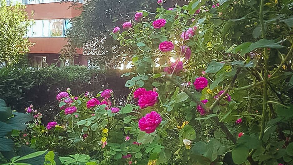 Imobil pretabil locuință permanentă, de vacanță sau spațiu birouri, Comision 0% - Poză 24