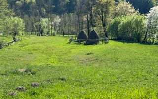 TEREN INTRAVILAN 2592 MP,  ALBESTI DE MUSCEL, ARGES - Poză 13