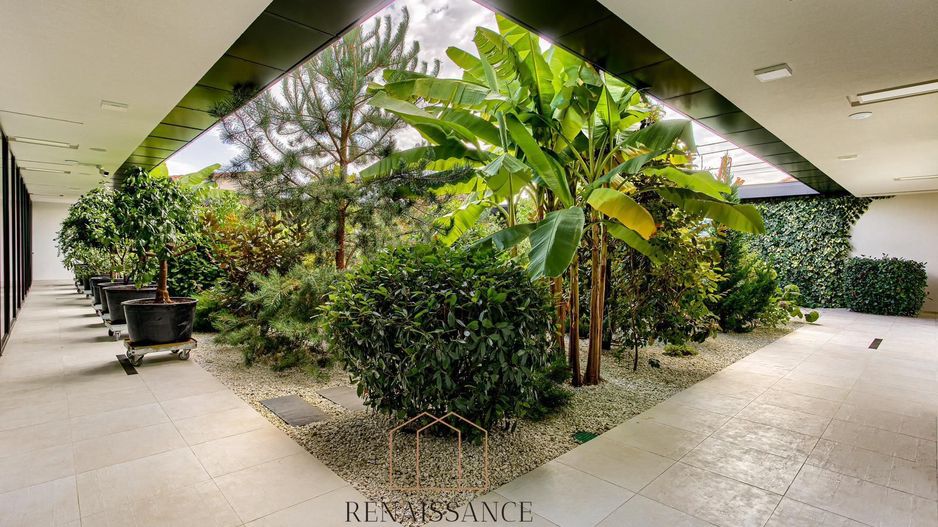 Dumbravita Casa Exclusivista pe Parter | 5 Camere | 1477mp Teren - Poză 18